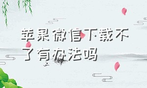 苹果微信下载不了有办法吗