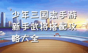 少年三国志手游新手武将搭配攻略大全