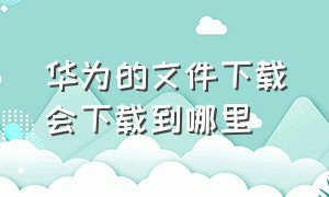 华为的文件下载会下载到哪里