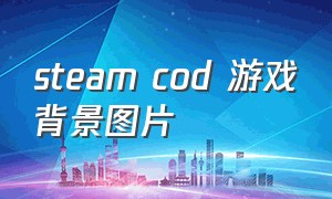 steam cod 游戏背景图片