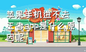 苹果手机进不去王者app是什么原因呢