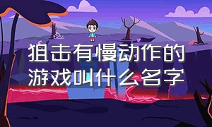 狙击有慢动作的游戏叫什么名字