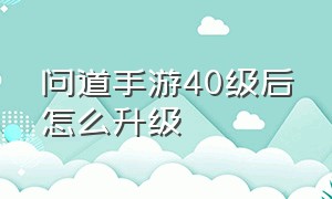 问道手游40级后怎么升级