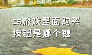 cs游戏里面购买按钮是哪个键