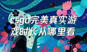 csgo完美真实游戏时长从哪里看