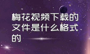 梅花视频下载的文件是什么格式的