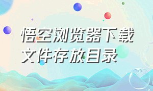 悟空浏览器下载文件存放目录