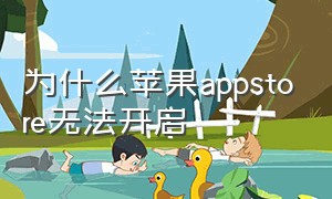 为什么苹果appstore无法开启