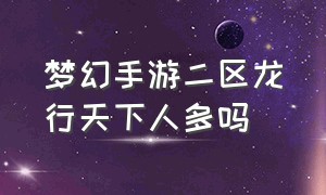 梦幻手游二区龙行天下人多吗