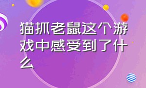 猫抓老鼠这个游戏中感受到了什么