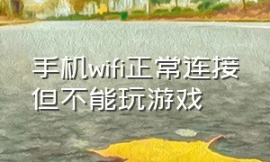 手机wifi正常连接但不能玩游戏