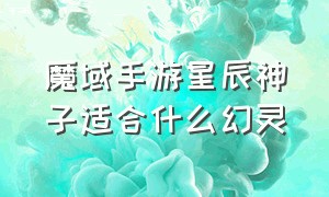 魔域手游星辰神子适合什么幻灵