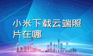 小米下载云端照片在哪