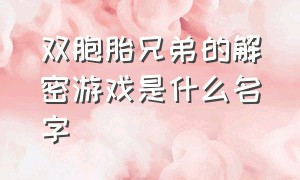 双胞胎兄弟的解密游戏是什么名字