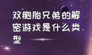 双胞胎兄弟的解密游戏是什么类型