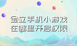 金立手机小游戏在哪里开启权限