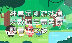 神兽金刚游戏通关教程全集免费观看中文版