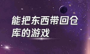 能把东西带回仓库的游戏