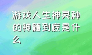 游戏人生神灵种的神髓到底是什么