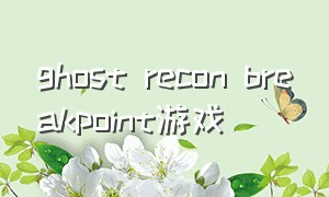 ghost recon breakpoint游戏