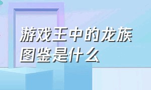 游戏王中的龙族图鉴是什么