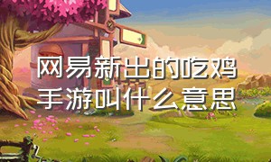 网易新出的吃鸡手游叫什么意思