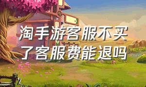 淘手游客服不买了客服费能退吗