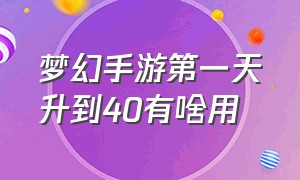 梦幻手游第一天升到40有啥用