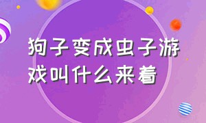 狗子变成虫子游戏叫什么来着