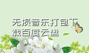 无损音乐打包下载百度云盘