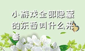 小游戏全部隐藏的东西叫什么来着