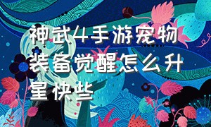 神武4手游宠物装备觉醒怎么升星快些