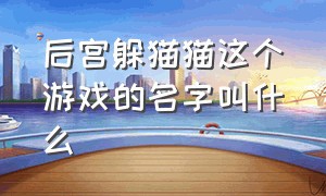 后宫躲猫猫这个游戏的名字叫什么