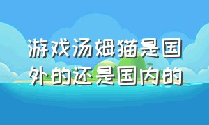 游戏汤姆猫是国外的还是国内的