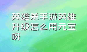 英雄杀手游英雄升级怎么用元宝呀