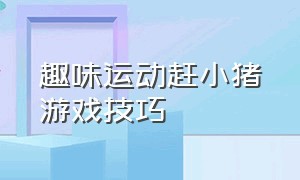 趣味运动赶小猪游戏技巧