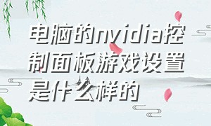 电脑的nvidia控制面板游戏设置是什么样的