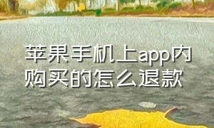 苹果手机上app内购买的怎么退款