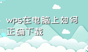 wps在电脑上如何正确下载