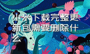 小米下载完整更新包需要删除什么