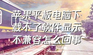 苹果平板电脑下载不了软件显示不兼容怎么回事