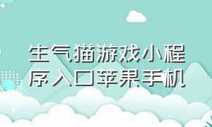 生气猫游戏小程序入口苹果手机