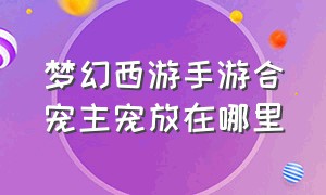 梦幻西游手游合宠主宠放在哪里