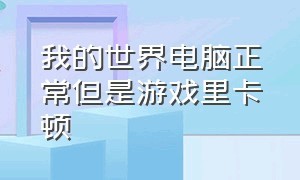 我的世界电脑正常但是游戏里卡顿