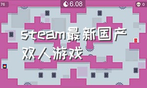 steam最新国产双人游戏