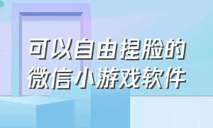 可以自由捏脸的微信小游戏软件