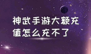 神武手游大额充值怎么充不了