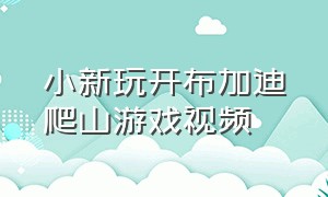 小新玩开布加迪爬山游戏视频