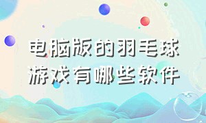 电脑版的羽毛球游戏有哪些软件