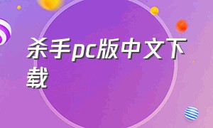 杀手pc版中文下载